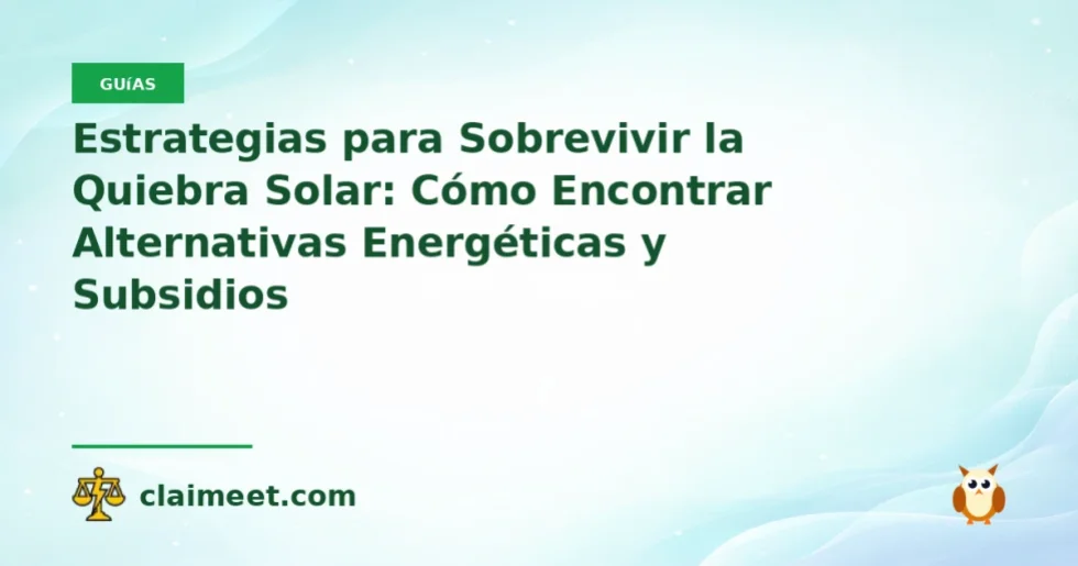Estrategias para Sobrevivir la Quiebra Solar: Cómo Encontrar Alternativas Energéticas y Subsidios